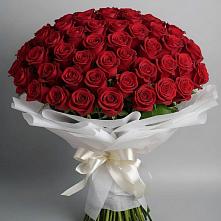 Букет 101 Красная роза Блэк Мэджик в Кузьмино