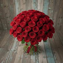 Букет 55 Красных роз Фридом #REPLACE_PRED# Кузьмино