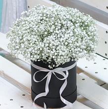 Цветочная композиция из Гипсофила в шляпной коробке в Кузьмино