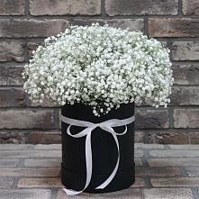 Цветочная композиция из Гипсофила в шляпной коробке в Кузьмино