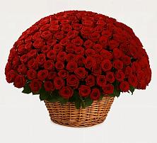 Премиум букет из: Розы в Кузьмино