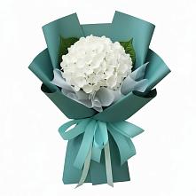 Букет цветов из:  Гортензия в Кузьмино
